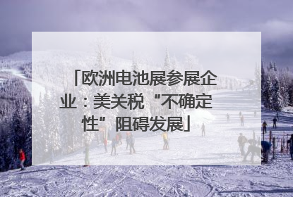欧洲电池展参展企业：美关税“不确定性”阻碍发展