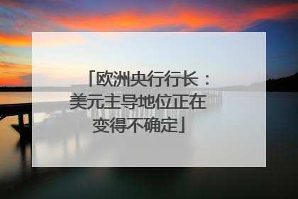 欧洲央行行长：美元主导地位正在变得不确定
