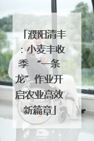 濮阳清丰：小麦丰收季 “一条龙”作业开启农业高效新篇章