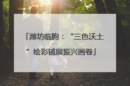 潍坊临朐：“三色沃土”绘彩铺展振兴画卷