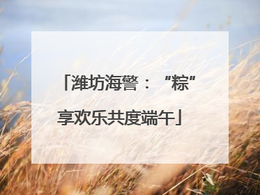 潍坊海警：“粽”享欢乐共度端午