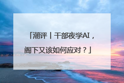 潮评丨干部夜学AI，阁下又该如何应对？
