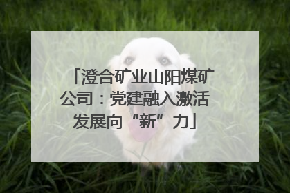 澄合矿业山阳煤矿公司：党建融入激活发展向“新”力