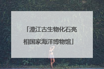 澄江古生物化石亮相国家海洋博物馆