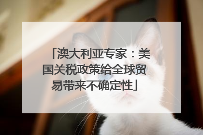 澳大利亚专家：美国关税政策给全球贸易带来不确定性