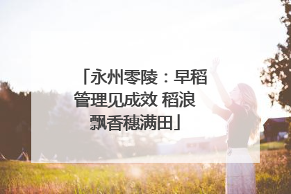 永州零陵：早稻管理见成效 稻浪飘香穗满田
