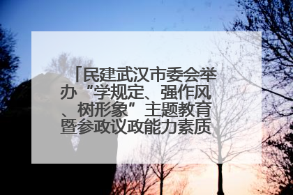 民建武汉市委会举办“学规定、强作风、树形象”主题教育暨参政议政能力素质提升培训班