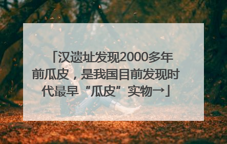 汉遗址发现2000多年前瓜皮，是我国目前发现时代最早“瓜皮”实物→