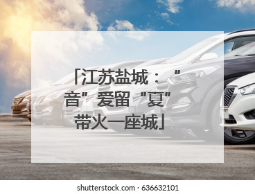 江苏盐城：“音”爱留“夏” 带火一座城