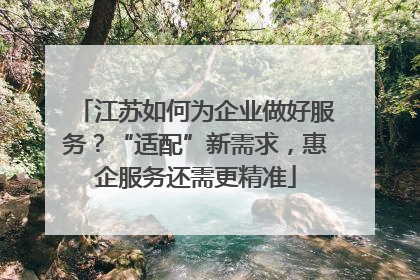 江苏如何为企业做好服务？“适配”新需求，惠企服务还需更精准