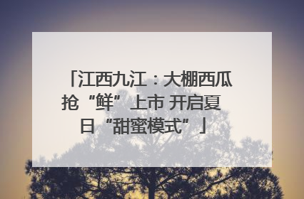 江西九江：大棚西瓜抢“鲜”上市 开启夏日“甜蜜模式”