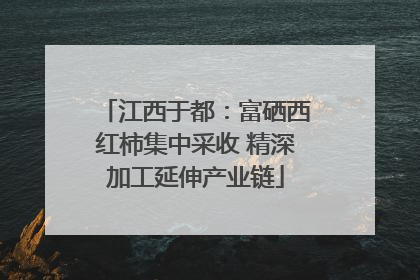 江西于都：富硒西红柿集中采收 精深加工延伸产业链