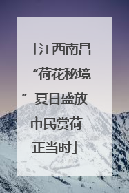 江西南昌“荷花秘境”夏日盛放 市民赏荷正当时