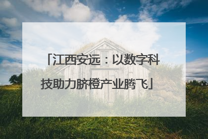 江西安远：以数字科技助力脐橙产业腾飞