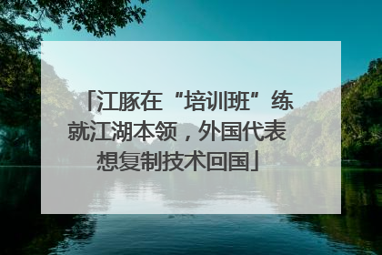 江豚在“培训班”练就江湖本领，外国代表想复制技术回国