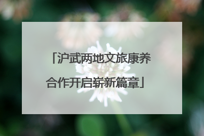 沪武两地文旅康养合作开启崭新篇章