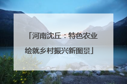 河南沈丘：特色农业绘就乡村振兴新图景