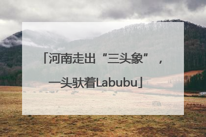 河南走出“三头象”，一头驮着Labubu