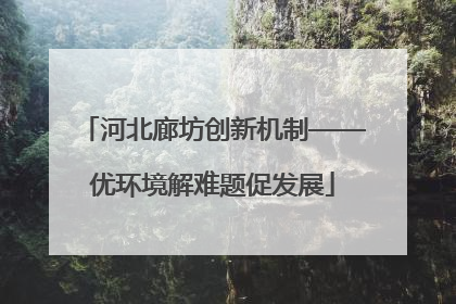 河北廊坊创新机制——优环境解难题促发展