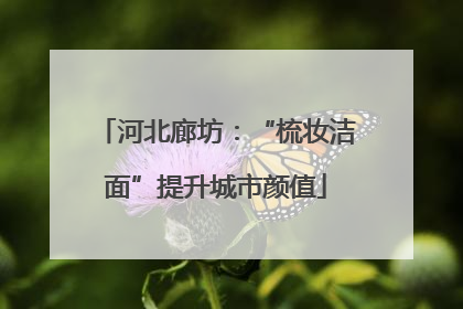 河北廊坊：“梳妆洁面”提升城市颜值