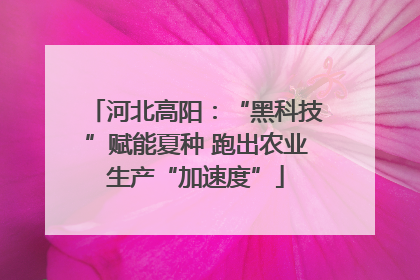 河北高阳：“黑科技”赋能夏种 跑出农业生产“加速度”