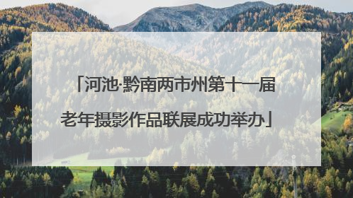 河池·黔南两市州第十一届老年摄影作品联展成功举办