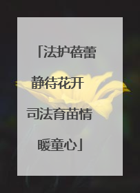 法护蓓蕾静待花开 司法育苗情暖童心