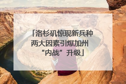 洛杉矶惊现新兵种 两大因素引爆加州“内战”升级