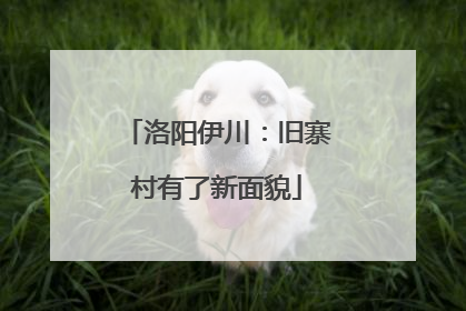 洛阳伊川：旧寨村有了新面貌
