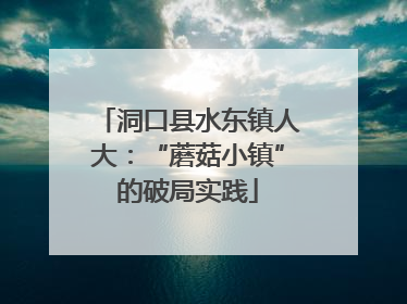 洞口县水东镇人大：“蘑菇小镇”的破局实践