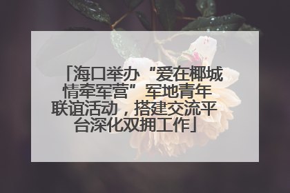 海口举办“爱在椰城 情牵军营”军地青年联谊活动，搭建交流平台深化双拥工作