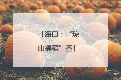 海口：“琼山福稻”香