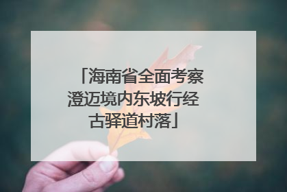 海南省全面考察澄迈境内东坡行经古驿道村落