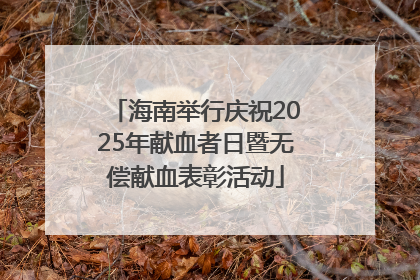 海南举行庆祝2025年献血者日暨无偿献血表彰活动