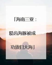 海南三亚：糙齿海豚被成功放归大海
