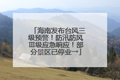 海南发布台风三级预警！防汛防风Ⅲ级应急响应！部分景区已停业→