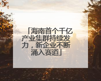 海南首个千亿产业集群持续发力，新企业不断涌入赛道