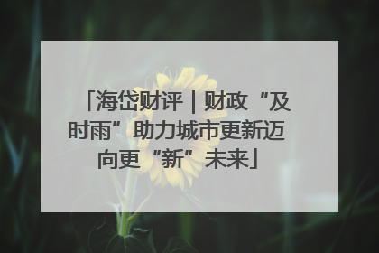 海岱财评｜财政“及时雨”助力城市更新迈向更“新”未来