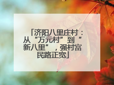 济阳八里庄村：从“万元村”到“新八里”，强村富民路正宽