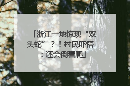浙江一地惊现“双头蛇”？！村民吓懵：还会倒着爬