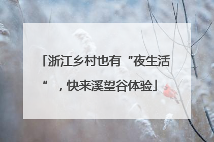 浙江乡村也有“夜生活”，快来溪望谷体验