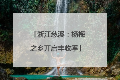 浙江慈溪:杨梅之乡开启丰收季