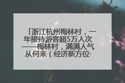 浙江杭州梅林村，一年接待游客超5万人次——梅林村，满满人气从何来（经济新方位·农村消费观察）