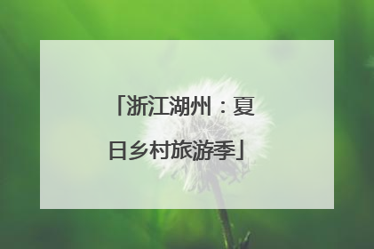 浙江湖州：夏日乡村旅游季
