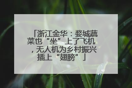 浙江金华：婺城蔬菜也“坐”上了飞机，无人机为乡村振兴插上“翅膀”