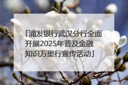 浦发银行武汉分行全面开展2025年普及金融知识万里行宣传活动