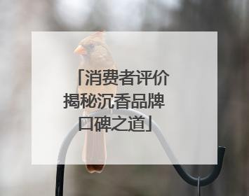 消费者评价揭秘沉香品牌口碑之道