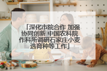 深化市院合作 加强协同创新 中国农科院作科所调研石家庄小麦选育种等工作