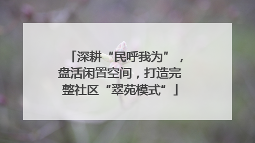 深耕“民呼我为”，盘活闲置空间，打造完整社区“翠苑模式”