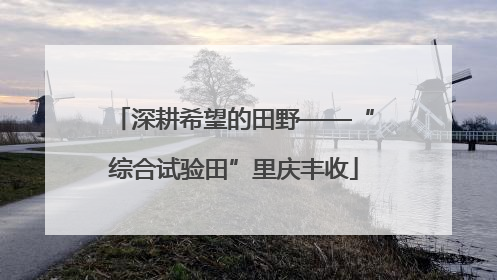 深耕希望的田野——“综合试验田”里庆丰收